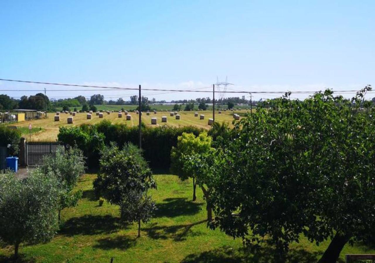 Eco House San Michele Vandrarhem Borgo San Michele  Exteriör bild